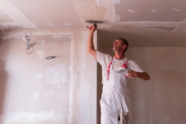 Best Drywall Removal and Disposal  in Crivitz, WI